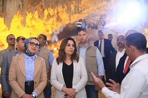 صورة الخبر